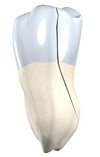 endodontic services richmond va